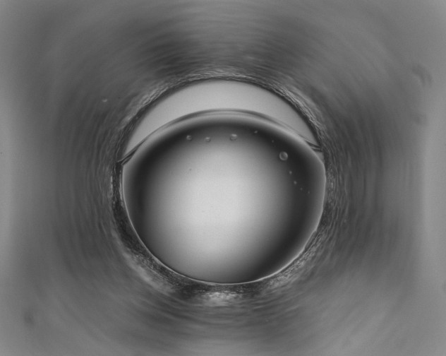 X0000111860158200907231459