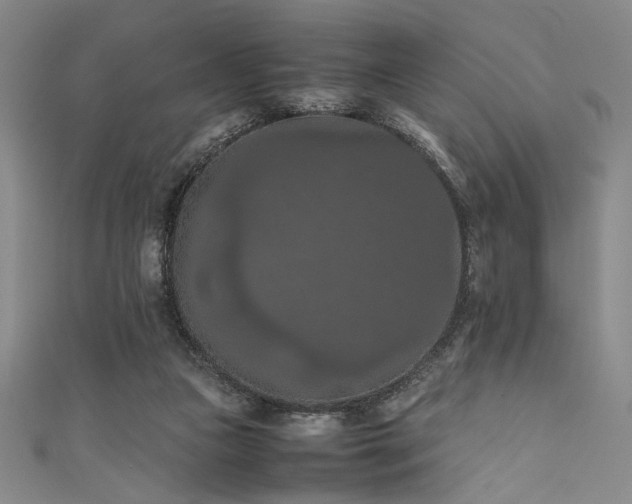 X0000111860161200907231459