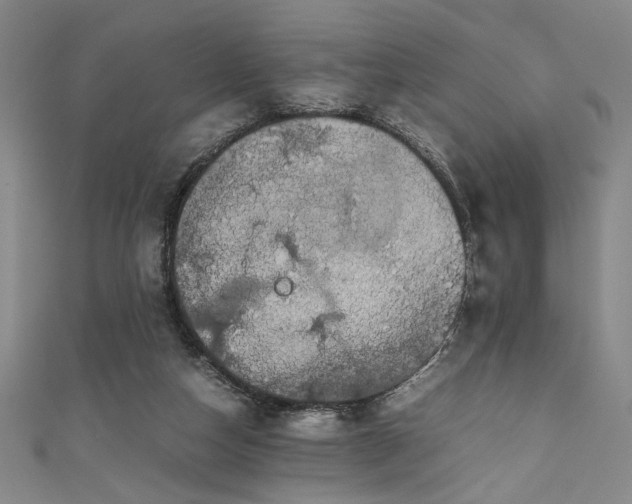 X0000111860162200907231459