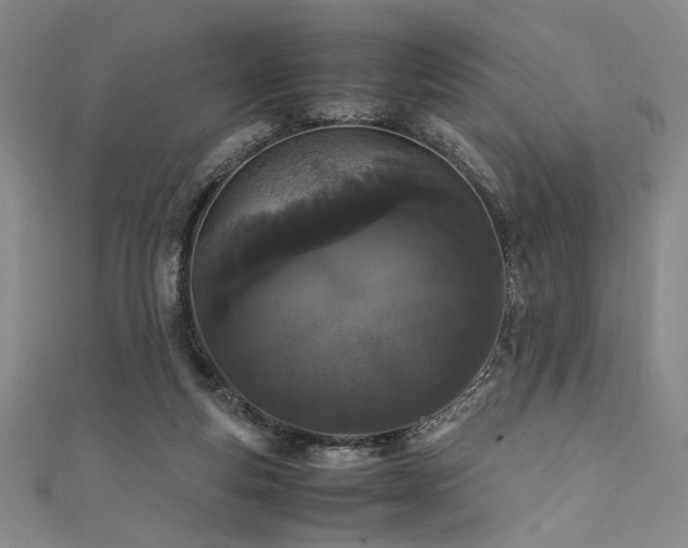 X0000111860163200907231459