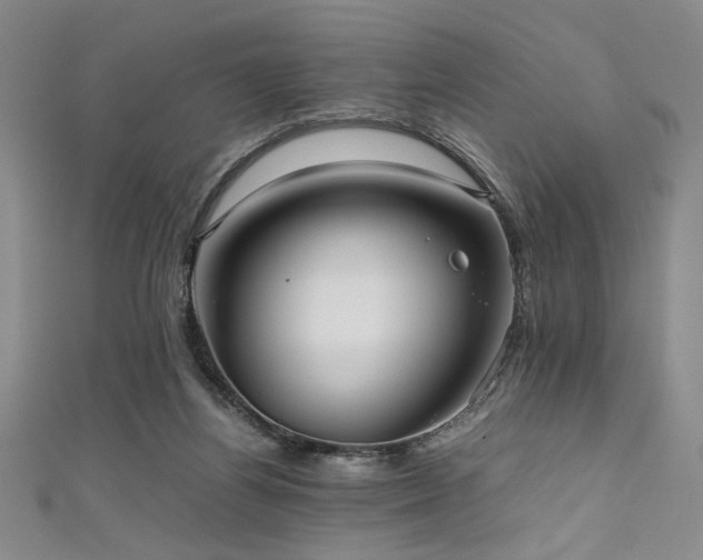 X0000111860164200907231459