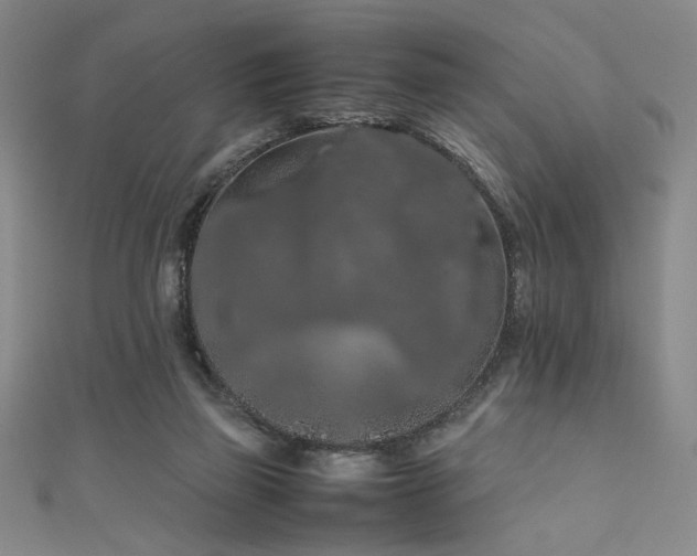 X0000111860165200907231459