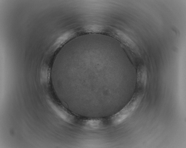 X0000111860168200907231459