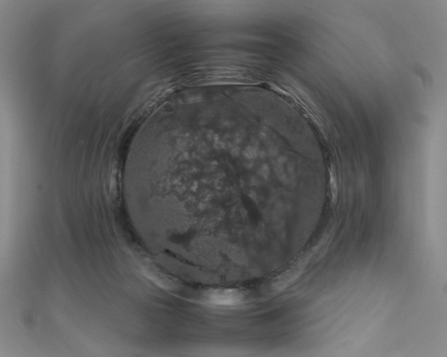 X0000111860169200907231459