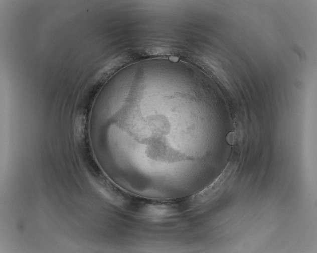 X0000111860171200907231459