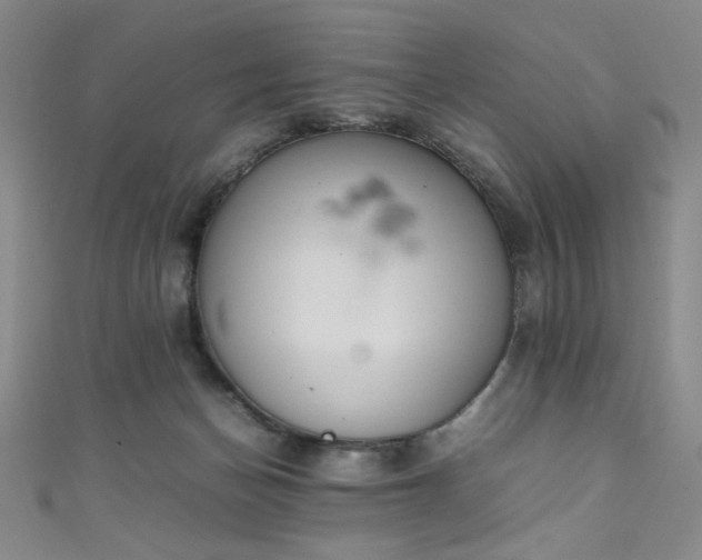 X0000111860174200907231459