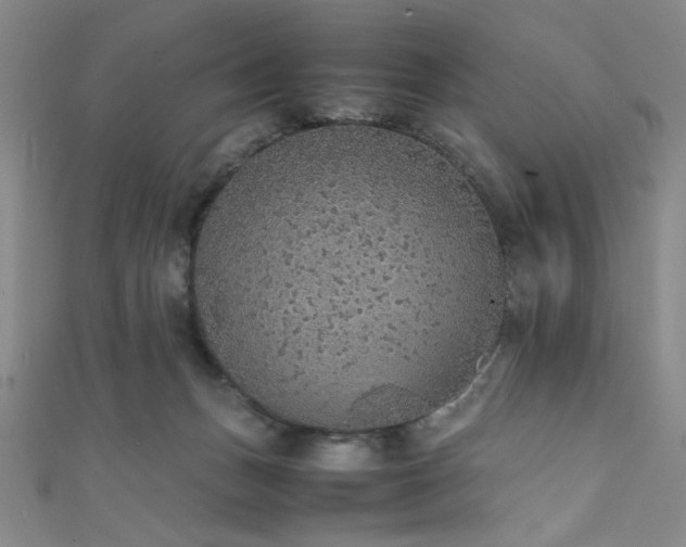 X0000111860175200907231459