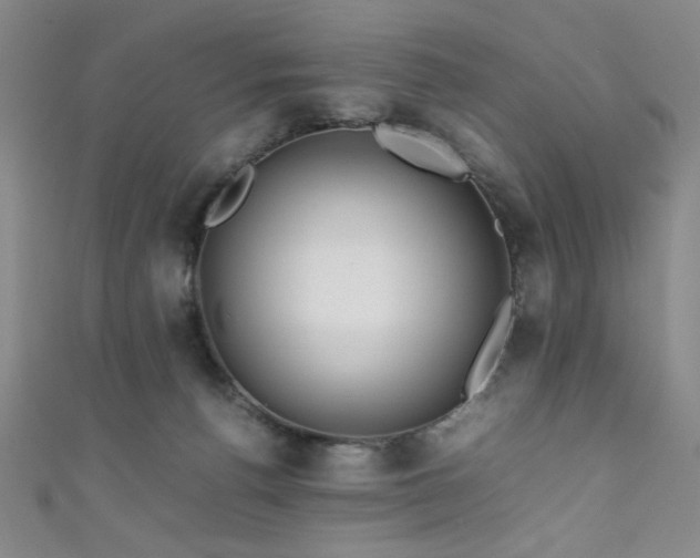 X0000111860176200907231459