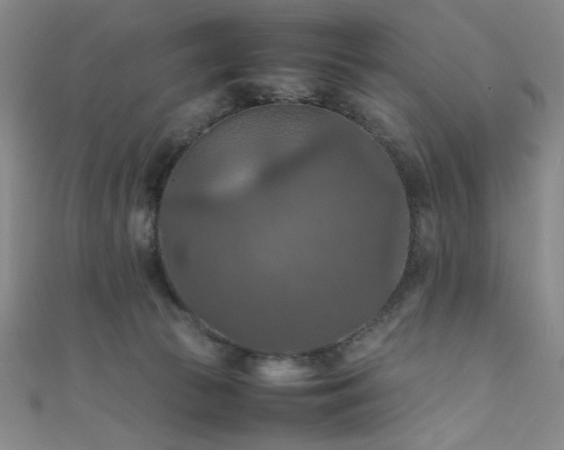X0000111860177200907231459