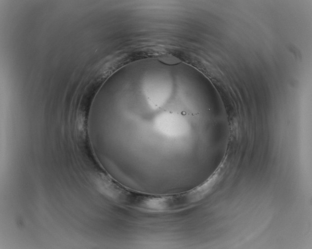 X0000111860178200907231459