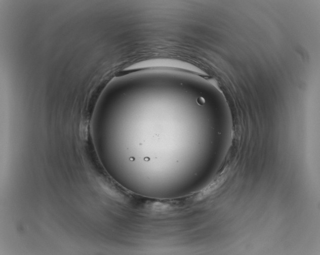 X0000111860180200907231459