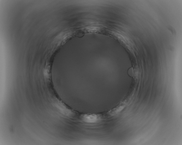 X0000111860181200907231459