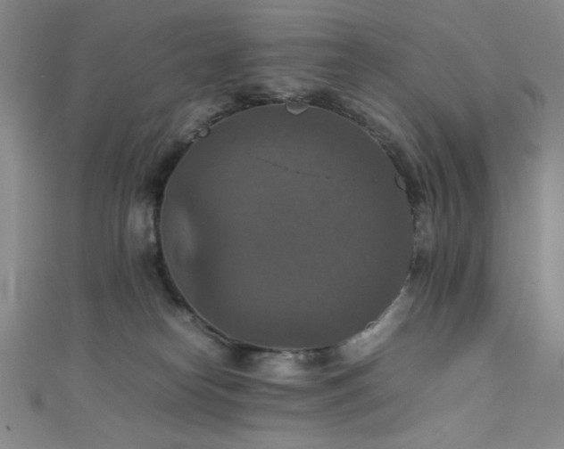 X0000111860182200907231459
