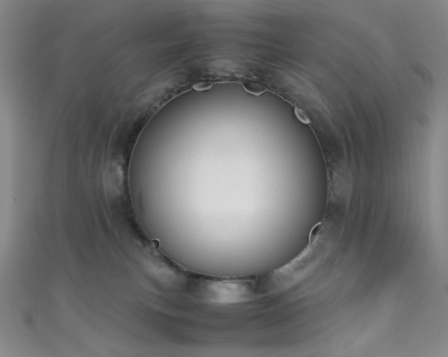 X0000111860183200907231459