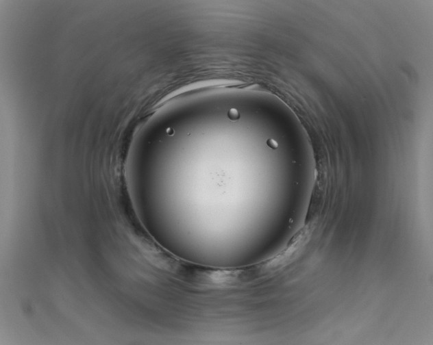 X0000111860184200907231459