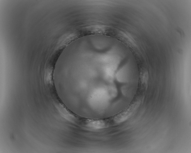 X0000111860185200907231459