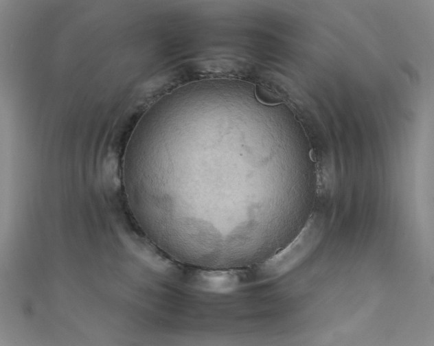 X0000111860187200907231459