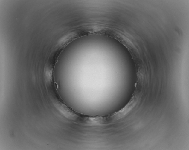 X0000111860188200907231459