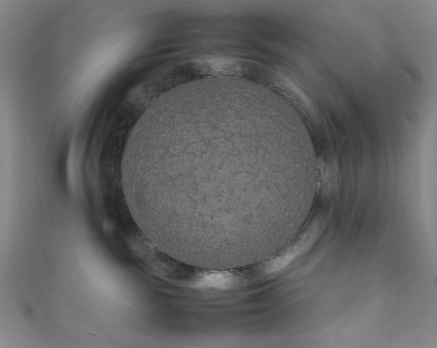 X0000111860189200907231459