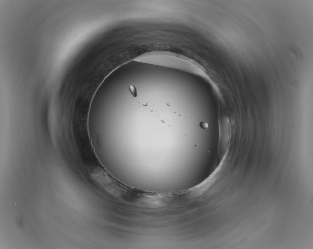 X0000111860190200907231459
