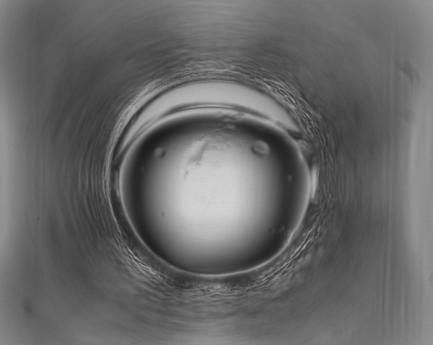 X0000111860195200907231459