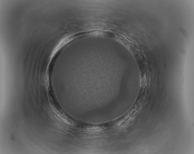X0000111860198200907231459