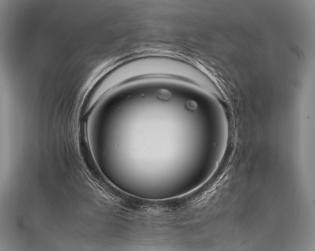 X0000111860199200907231459