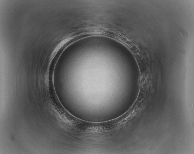 X0000111860200200907231459