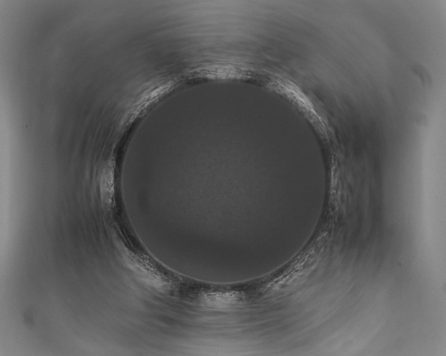 X0000111860202200907231459