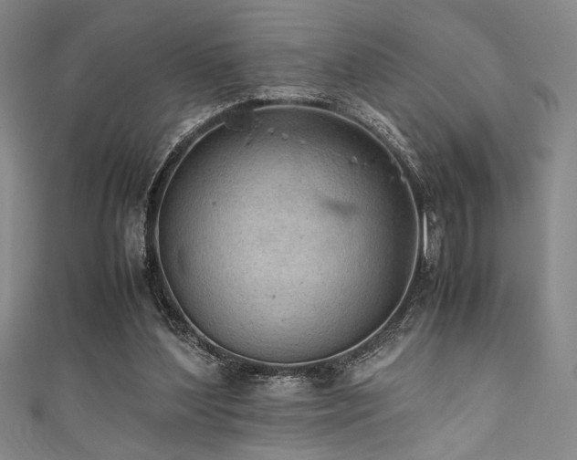X0000111860204200907231459