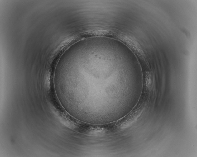 X0000111860206200907231459