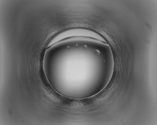 X0000111860207200907231459