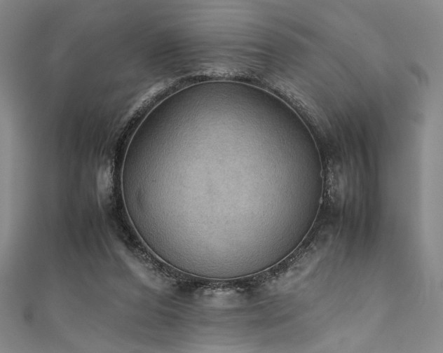X0000111860208200907231459