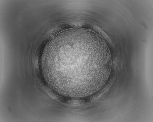 X0000111860209200907231459