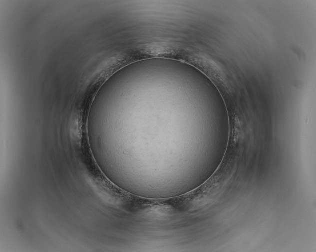 X0000111860210200907231459