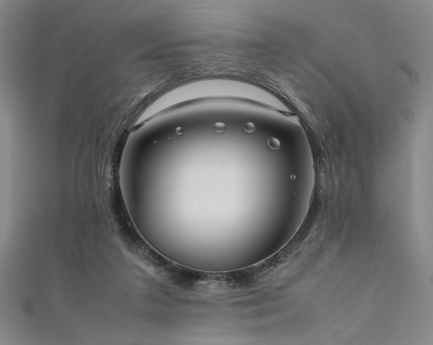 X0000111860211200907231459