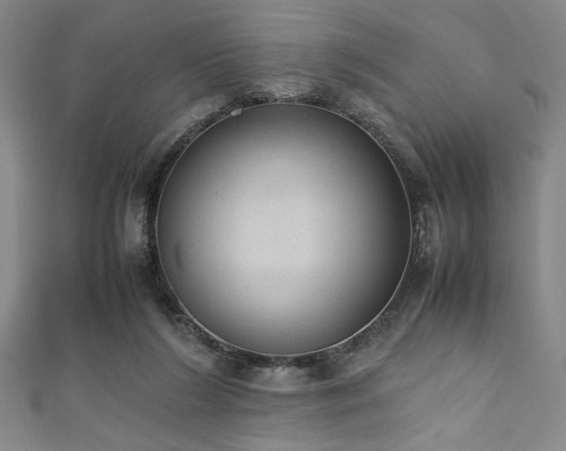 X0000111860212200907231459