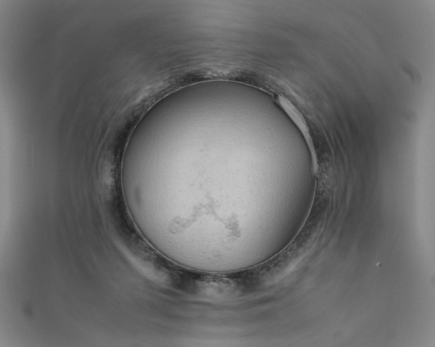 X0000111860215200907231458