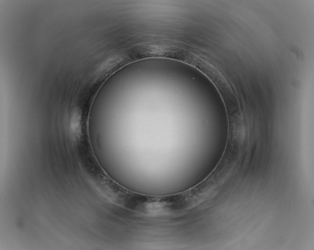 X0000111860216200907231458