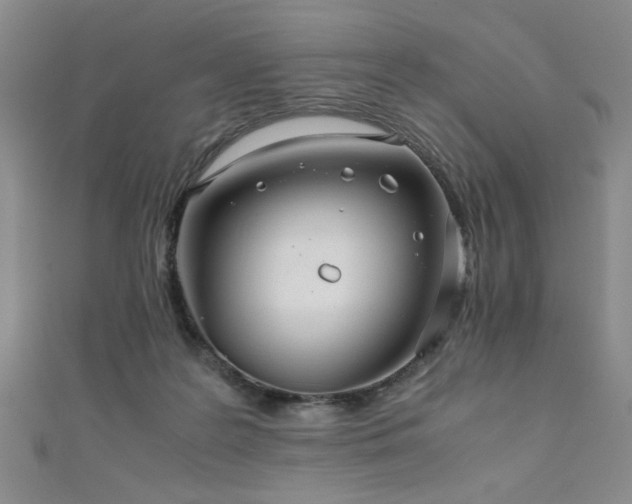 X0000111860219200907231458