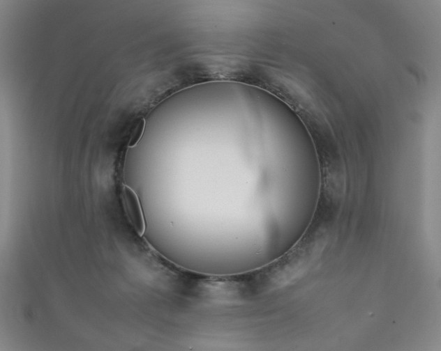 X0000111860221200907231458