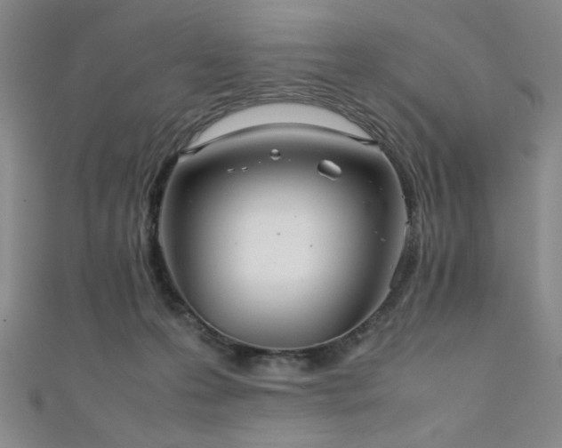 X0000111860223200907231458