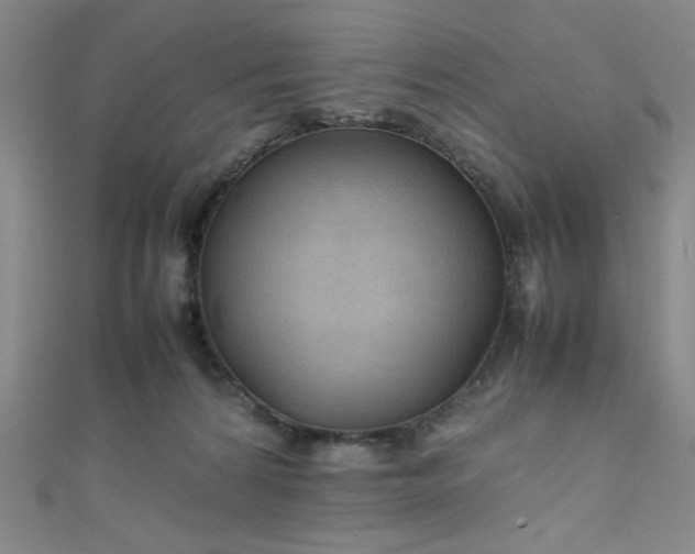 X0000111860224200907231458