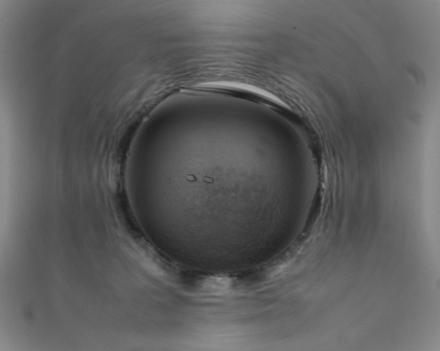 X0000111860227200907231458