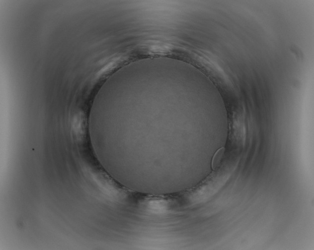 X0000111860228200907231458
