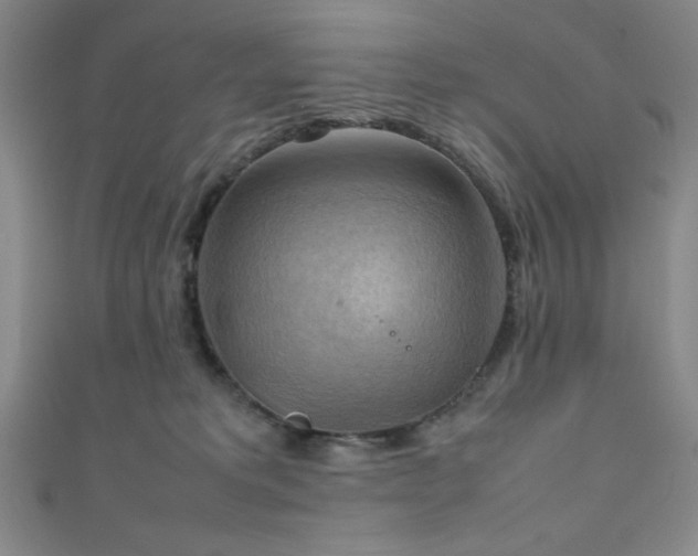 X0000111860229200907231458