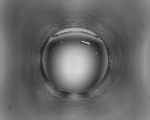 X0000111860231200907231458