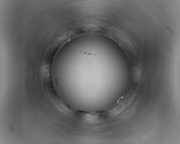 X0000111860232200907231458