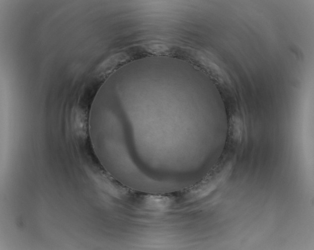 X0000111860234200907231458