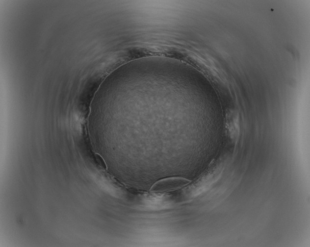 X0000111860235200907231458